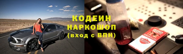 гашик Алзамай
