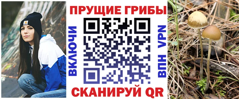Галлюциногенные грибы GOLDEN TEACHER  наркошоп  Наволоки 
