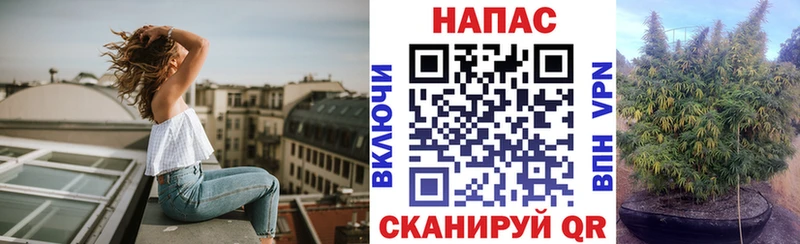 купить наркотик Наволоки МАРИХУАНА сатива